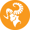 نارنجی