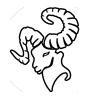 سفید