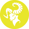 زرد