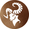 برنزی
