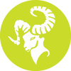 فسفری