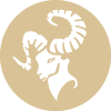 کرم