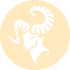 کرم روشن