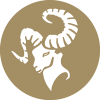کرم تیره