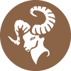 نسکافه ای تیره