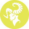 لیمویی