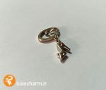 سگک تزئینی با آویز کفش زنانه