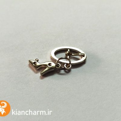 سگک تزئینی با آویز کفش زنانه