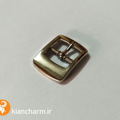 سگک تزئینی مدل قاب ضخیم